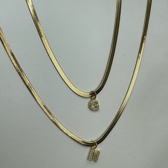 Titanium Steel and Zircon Snake Adjustable Length Necklace With Initial - Picture 4 of 6